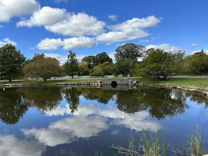 Bruce Park Picture 5