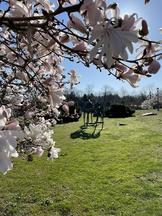 Bruce Park Picture 8