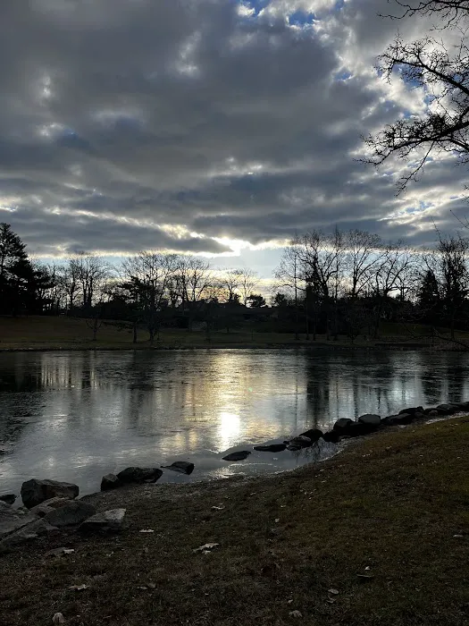 Bruce Park Picture 9