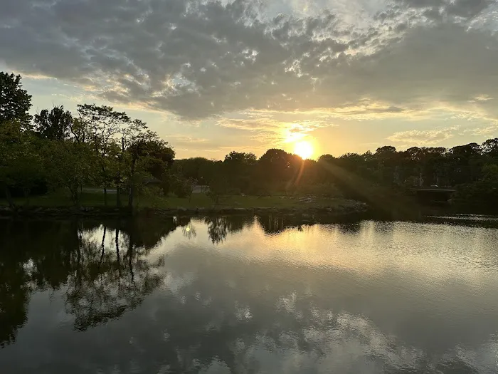 Bruce Park Picture 10