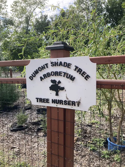 Dumont Shade Tree Nursery Picture 1