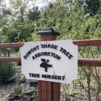Dumont Shade Tree Nursery ico