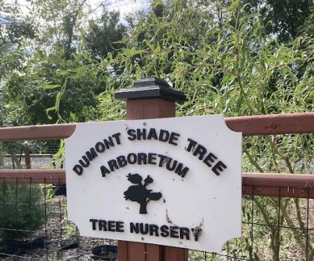 Dumont Shade Tree Nursery