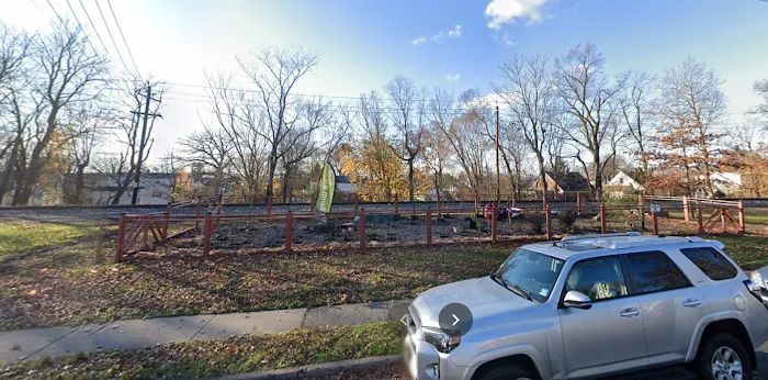 Dumont Shade Tree Nursery Picture 3
