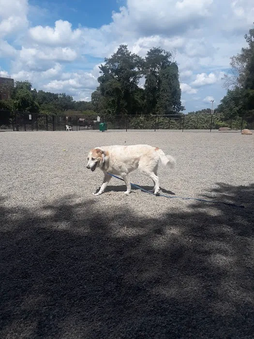 Bergenfield Dog Park Picture 5