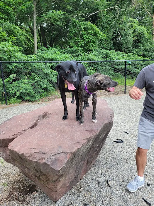 Bergenfield Dog Park Picture 2