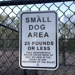 Bergenfield Dog Park