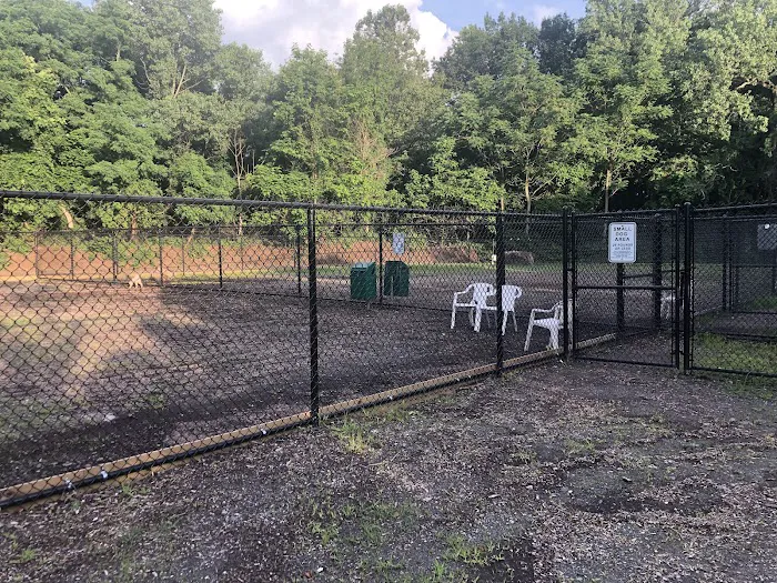 Bergenfield Dog Park Picture 6