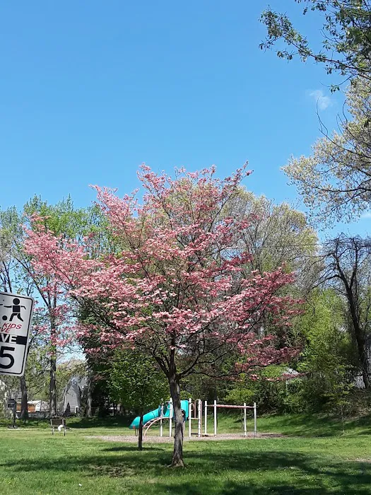 Charlie O'Connor Park Picture 5