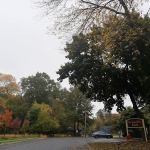 Schauble Park