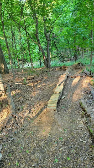 Schauble Park Picture 4