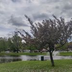 Haworth Park