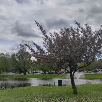 Haworth Park ico