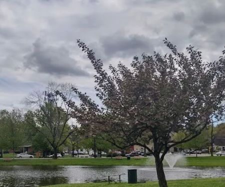 Haworth Park