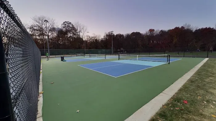 Ruckman Park Renaissance Picture 5