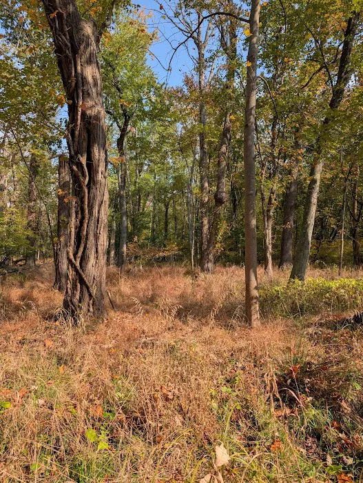 Closter Nature Center Picture 3