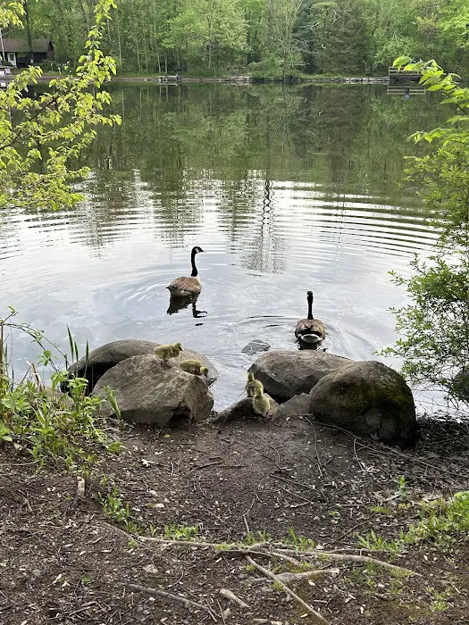Closter Nature Center Picture 7