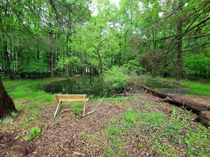 Buzzoni Farm Park Picture 2