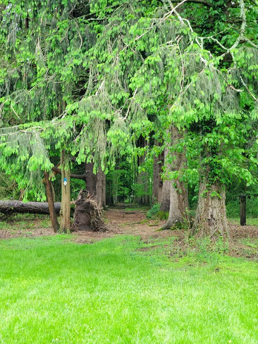 Buzzoni Farm Park Picture 1