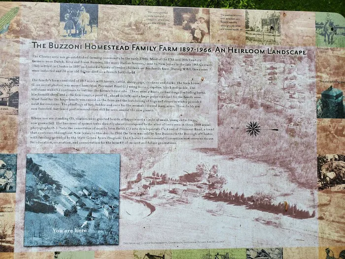 Buzzoni Farm Park Picture 3