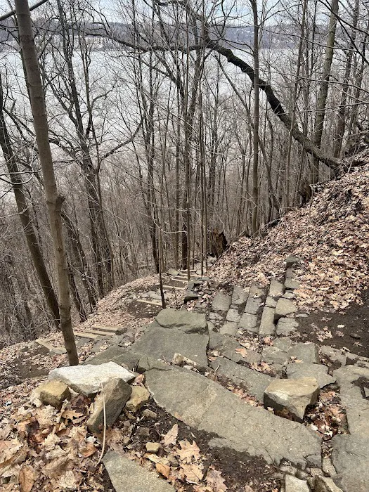 Blue and white Trail Picture 8