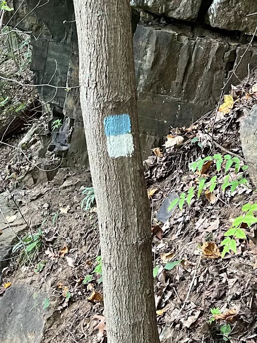 Blue and white Trail Picture 5