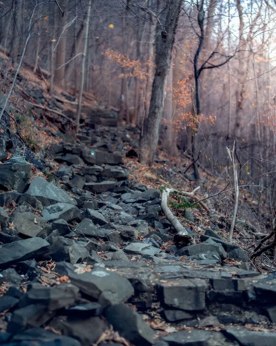 Blue and white Trail Picture 3