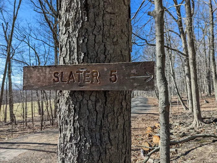 Slater 6 Lean-tos Picture 1