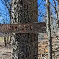 Slater 6 Lean-tos ico