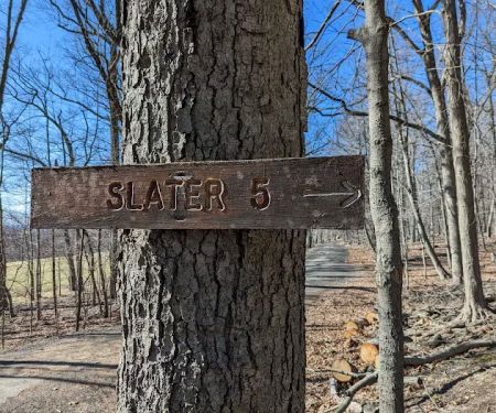 Slater 6 Lean-tos