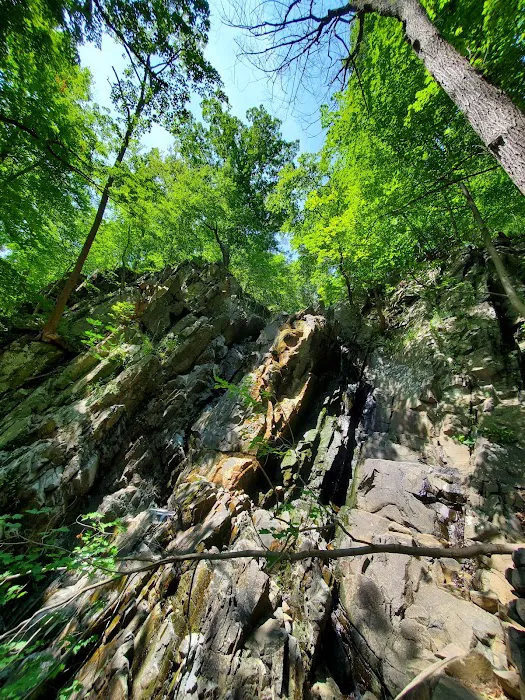 Palisades Interstate Park Trail Picture 6