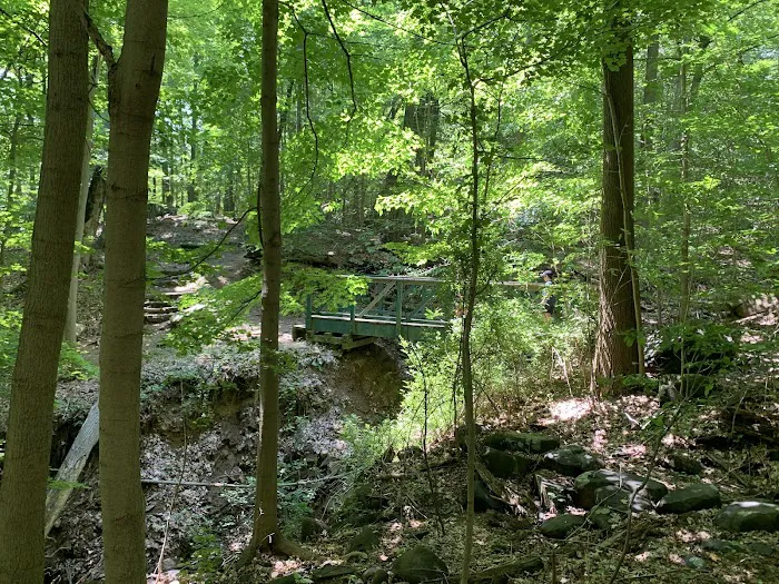Palisades Interstate Park Trail Picture 7
