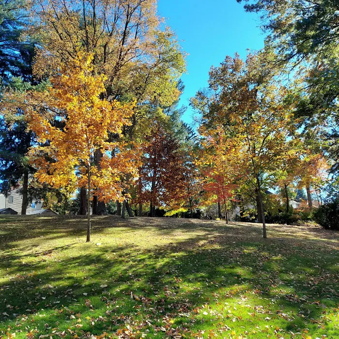 Andreas Park Picture 4