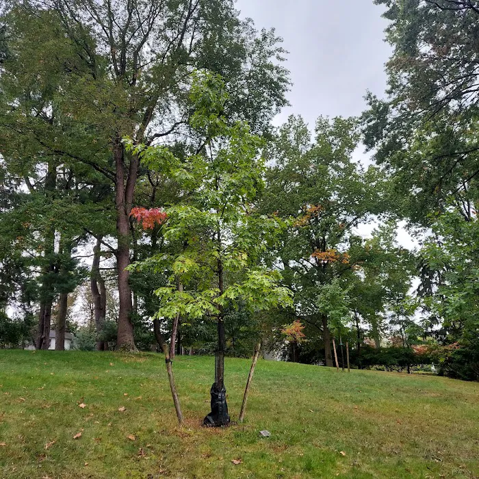 Andreas Park Picture 6