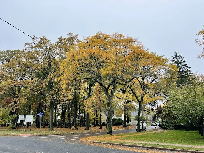 Dr.Barnett's Bookstaver Park Picture 4