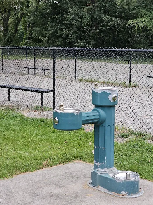 Phelps Park Dog area Picture 4
