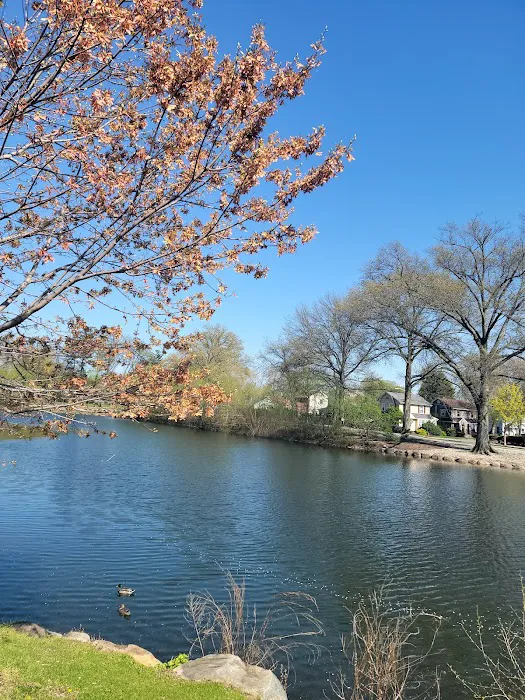 Phelps Park Picture 6