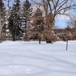 Phelps Park