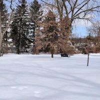 Phelps Park ico