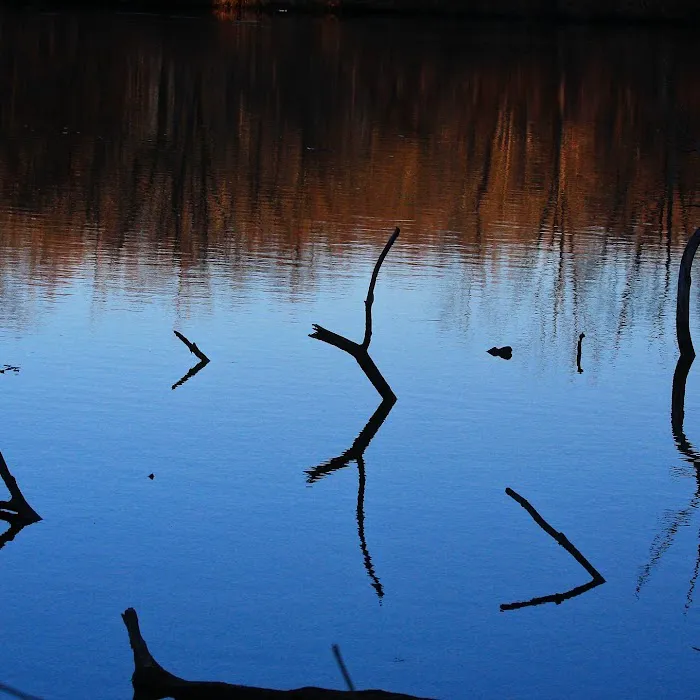 Lenape Turtle Pond Picture 3