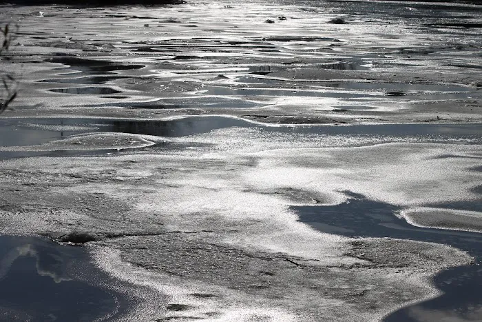 Lenape Turtle Pond Picture 1