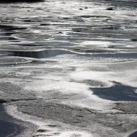 Lenape Turtle Pond ico