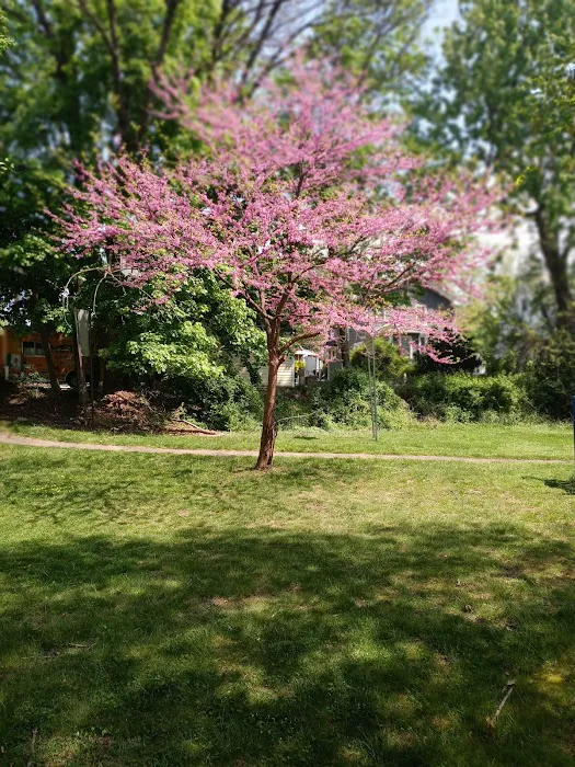 Herrick Park Picture 5