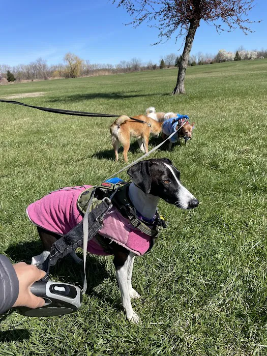 Overpeck Dog Park Picture 8