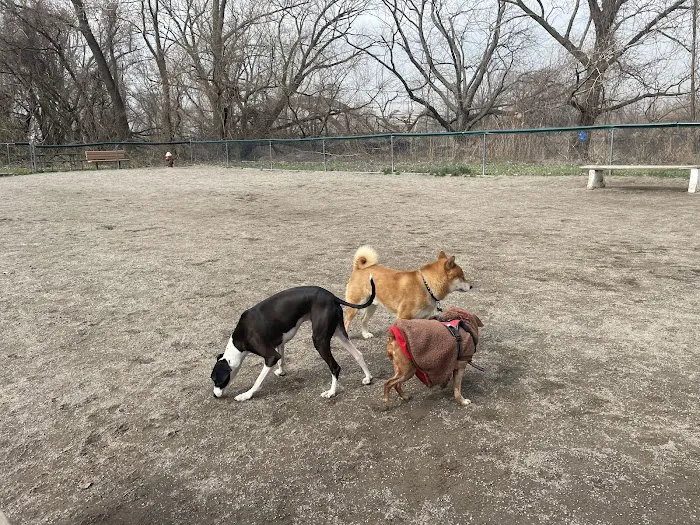 Overpeck Dog Park Picture 2