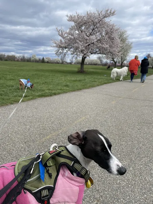 Overpeck Dog Park Picture 5