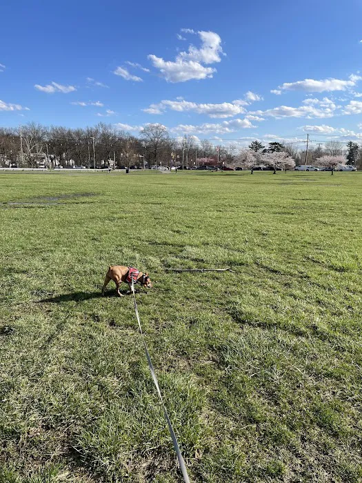 Overpeck Dog Park Picture 7