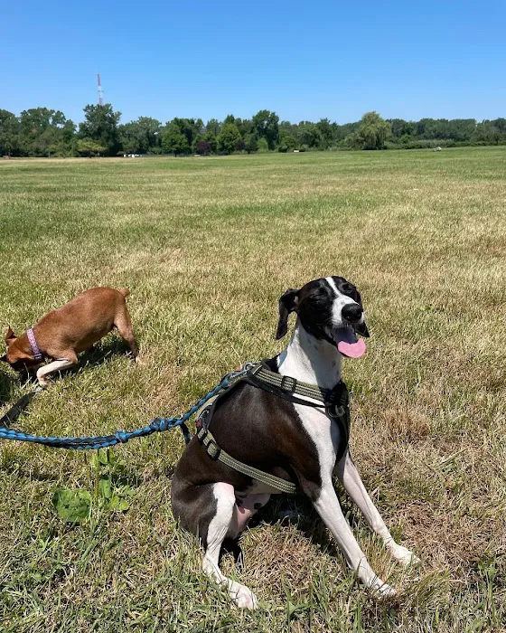 Overpeck Dog Park Picture 6
