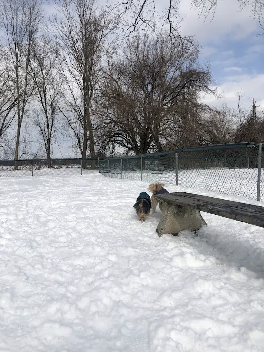 Overpeck Dog Park Picture 1