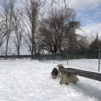 Overpeck Dog Park ico